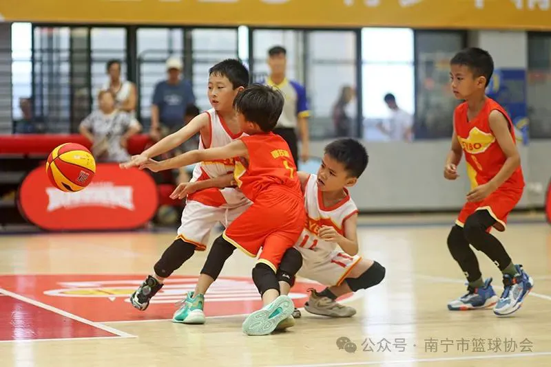 哪里能找到关于智能球衣在篮球训练中应用的信息_1