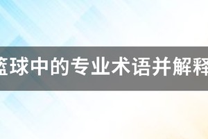 求打篮球中的专业术语并解释什么意思？